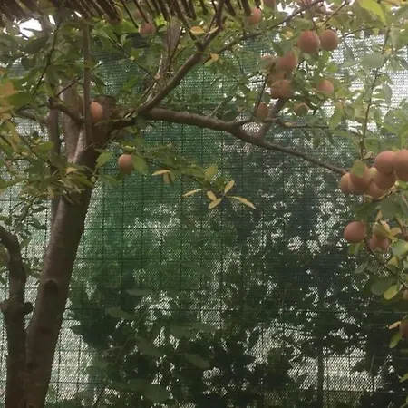 La Casina Di Forte dei Marmi