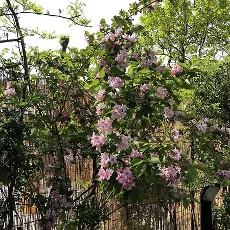La Casina Di Forte dei Marmi