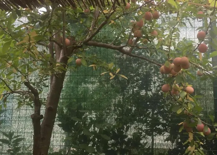 La Casina Di Форте-деи-Марми