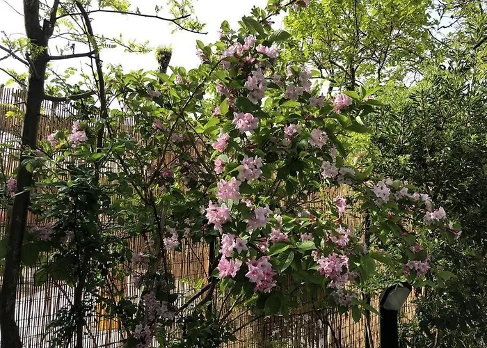 La Casina Di Forte dei Marmi